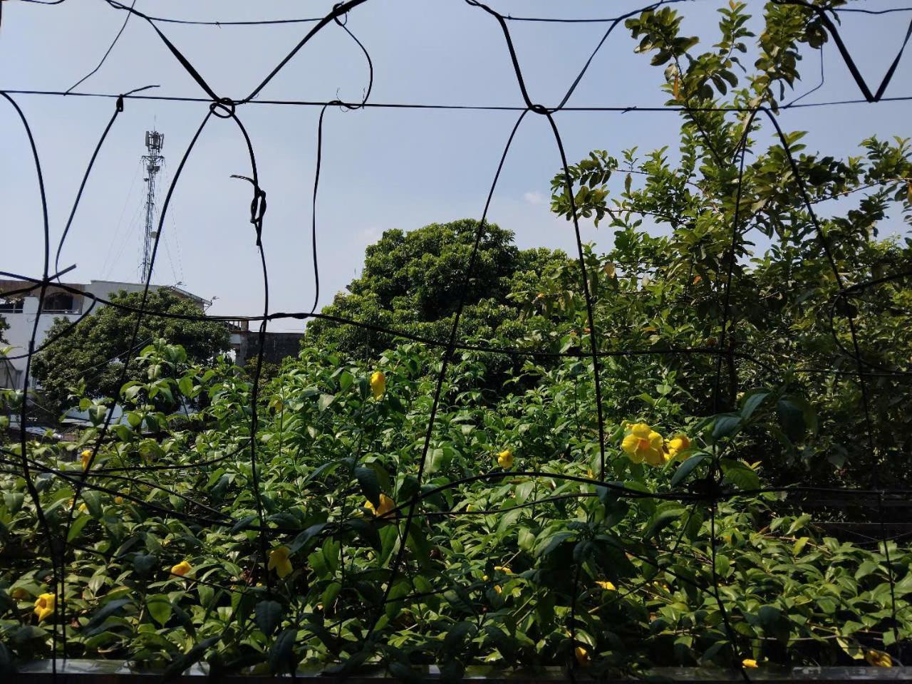 Green Space Homestay Ninh Binh Zewnętrze zdjęcie
